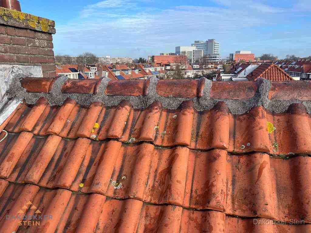 Stein Daken Renoveren Stein Daken Renoveren